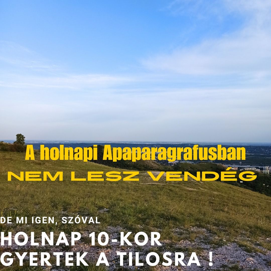 25. adás: Újabb műsorvezetői köldöknézegetés episode artwork