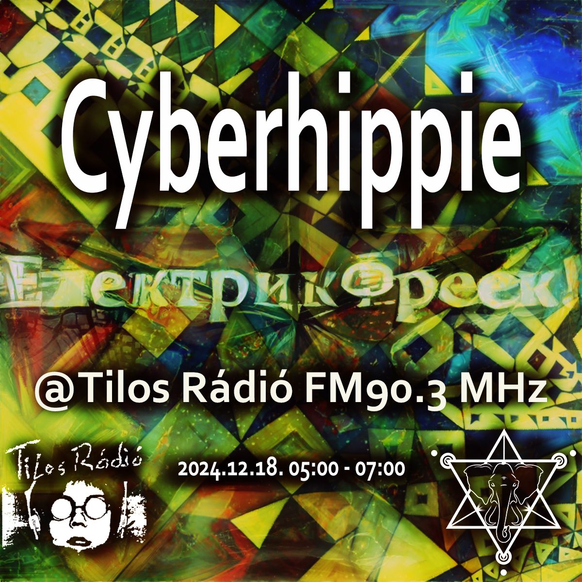 ElektrikFreek_20241218_Chily_Team_Cyberhippie_flyer.jpeg