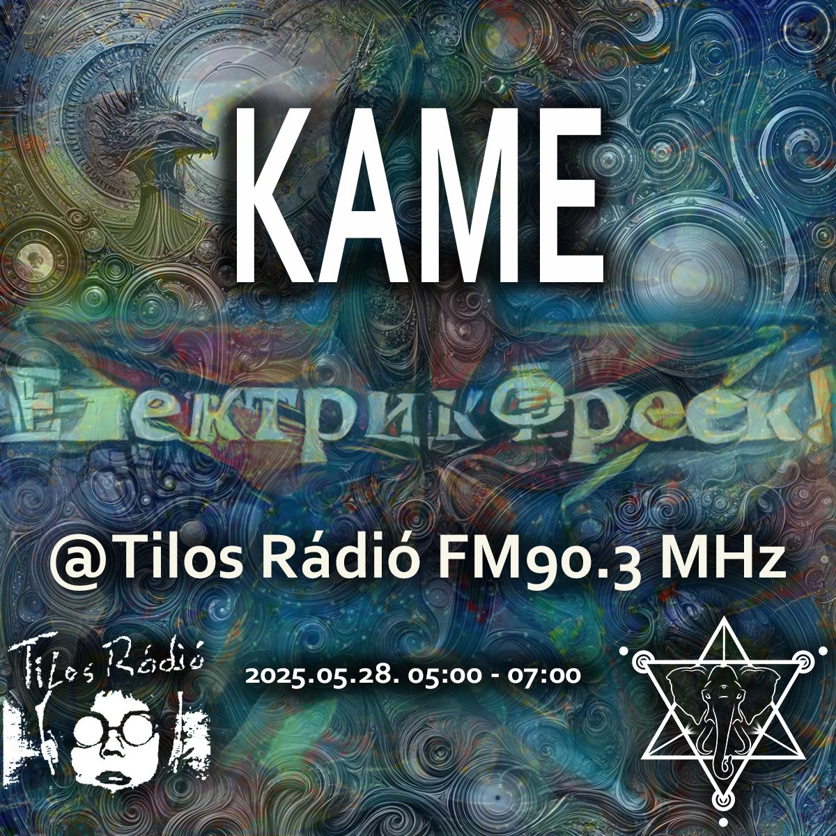 ElektrikFreek_20250528_KAME_flyer.jpeg