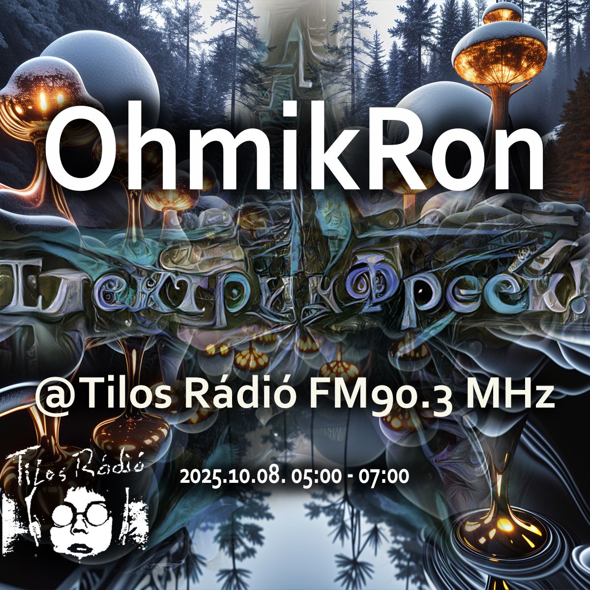 ElektrikFreek_20251008_OhmikRon_flyer.jpeg