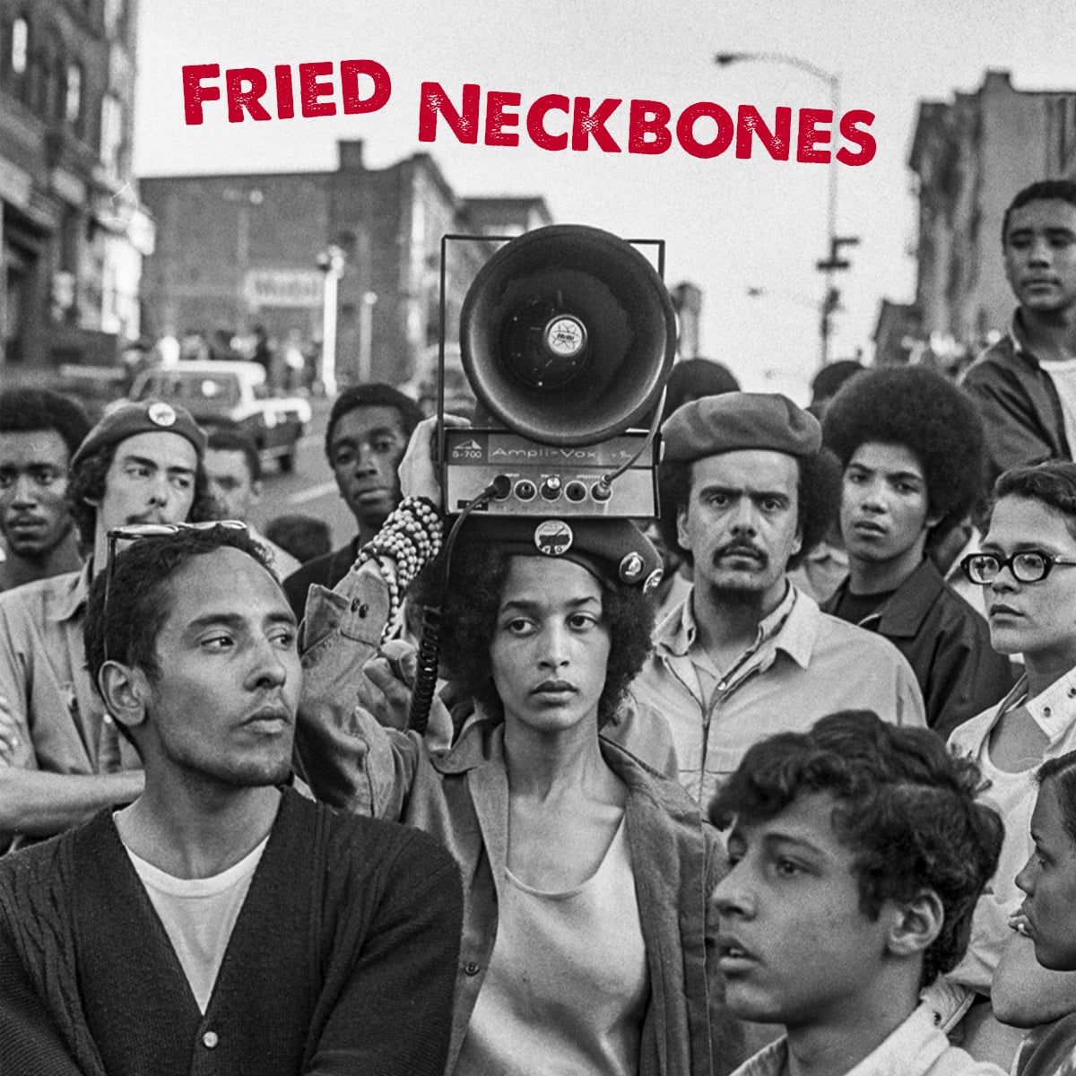 FriedNeckbones.jpeg