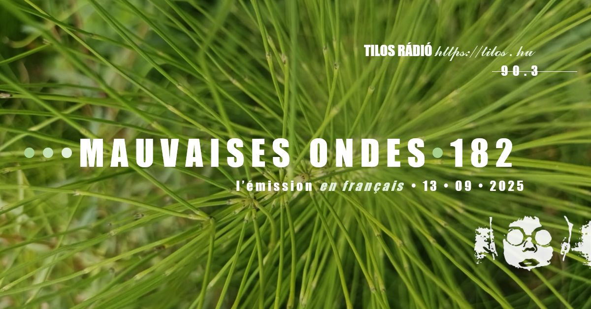 MauvaisesOndes