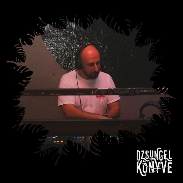 Mentalien (uk garage special) at Dzsungel Konyve 2025.07.15 episode artwork
