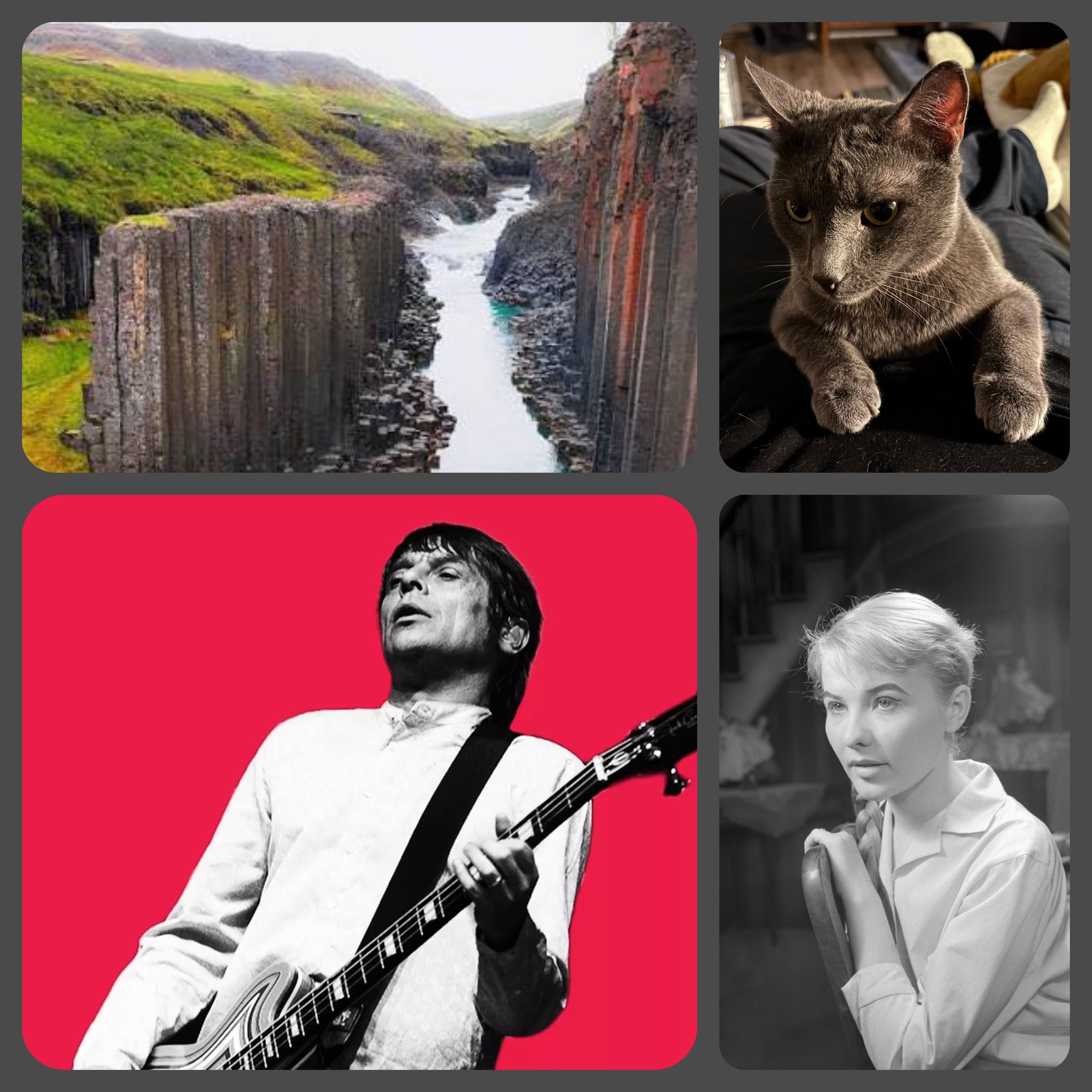 Isten kutyája: ISTEN KUTYÁJA - Prieger Zsolt műsora / 15. adás / 2025.11.26.