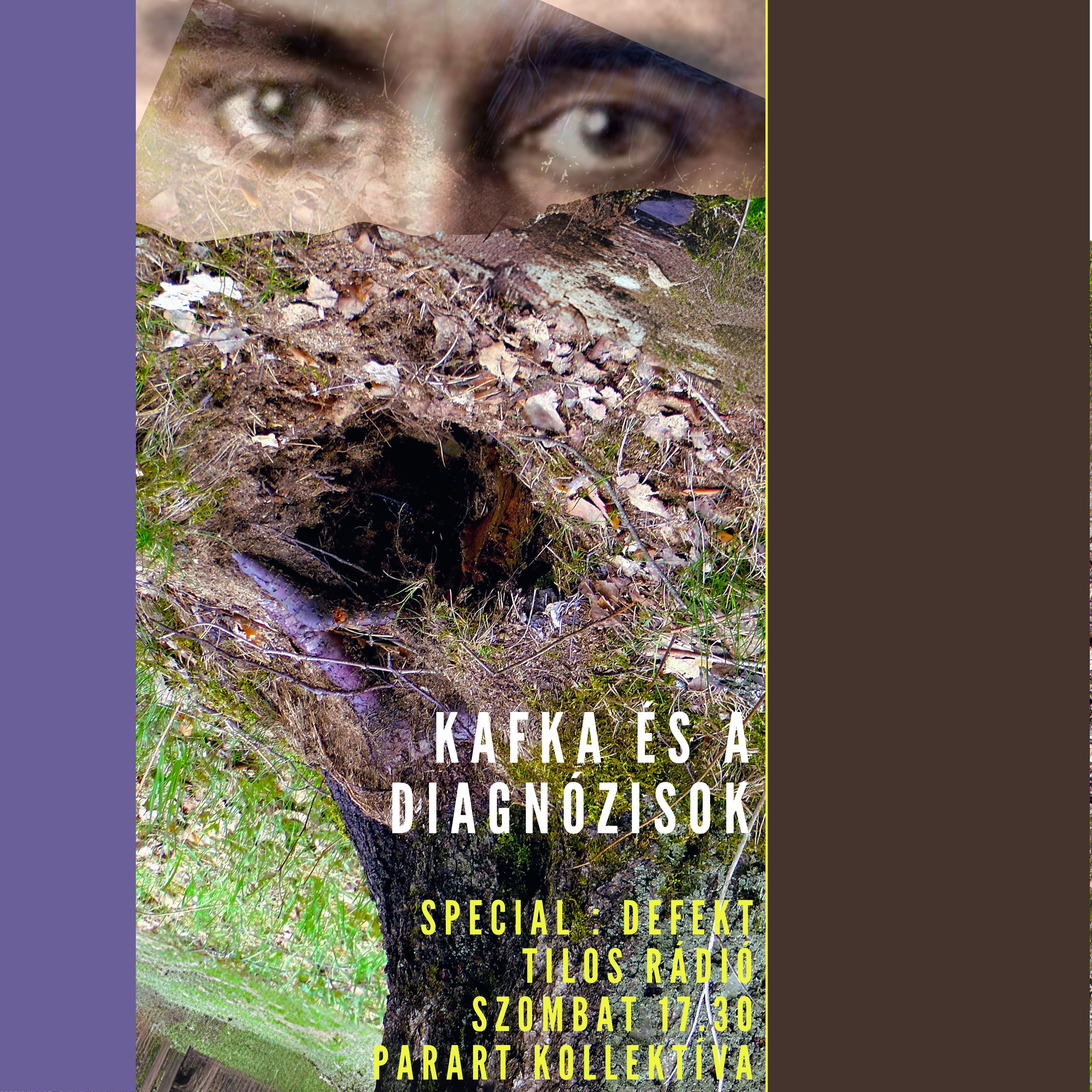 kafkaplaki.jpeg