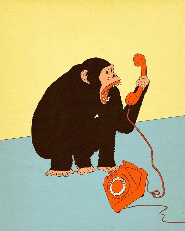 majomphone.jpeg