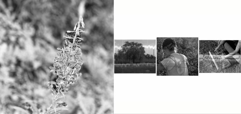 nw-ashlee_mack_kari_watson-800x378.jpeg