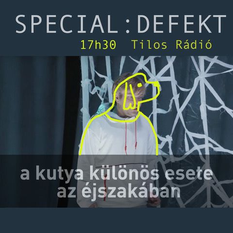 A kutya különös esete az éjszakában episode artwork